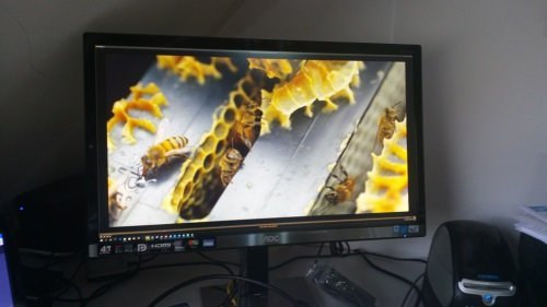 Review: AOC's nieuwe monitor oplossing voor slechte ogen of klein scherm 11